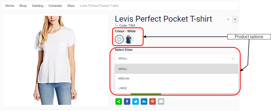 ProductConfig-ProductOptions-WS.png
